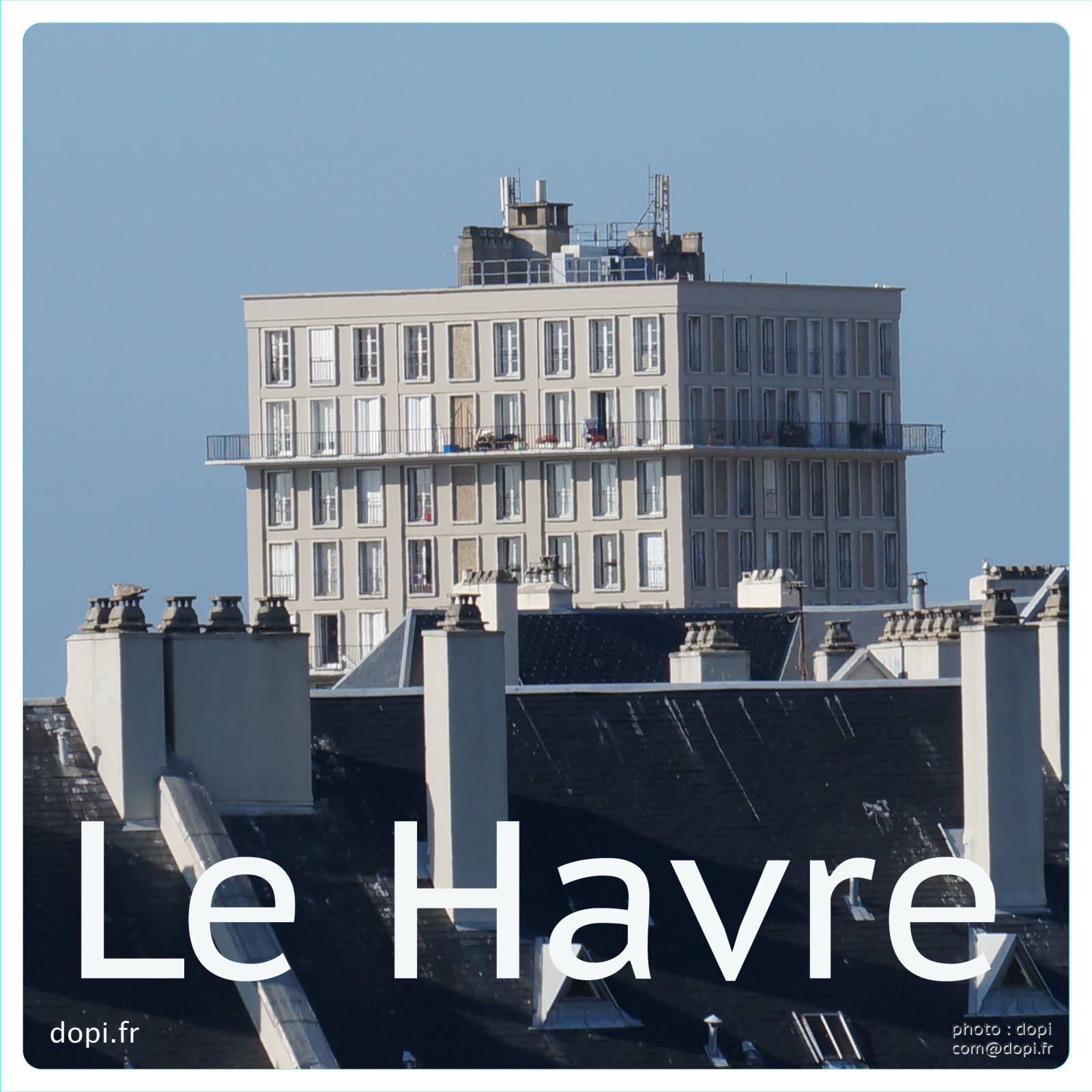 00030 S25,medium large.2x.1483111838